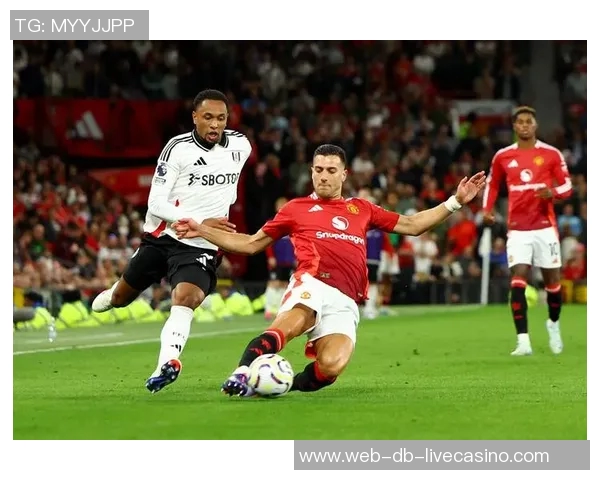 英超赛季回顾利物浦的辉煌历程与未来展望